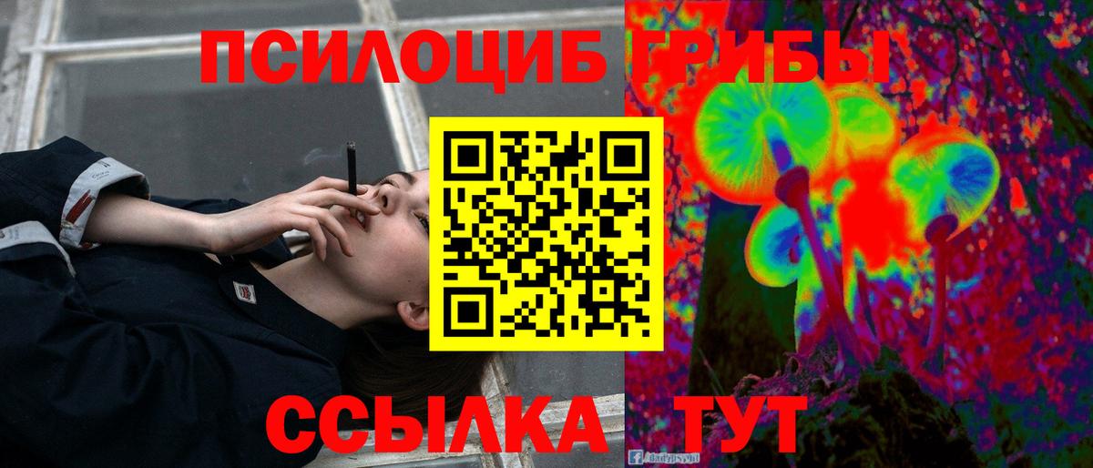 Галлюциногенные грибы прущие грибы Владивосток